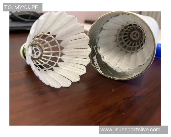 羽毛球装备选购指南：必备护具推荐与使用技巧分享